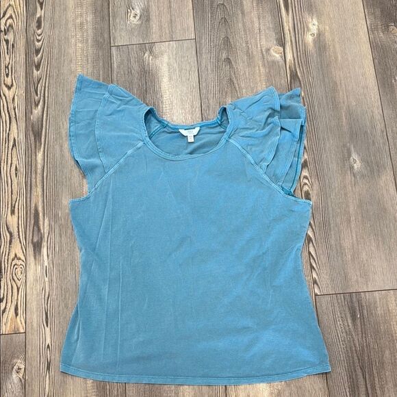 Time and Tru Blue Ruffle Sleeve Top - Picture 1 of 5